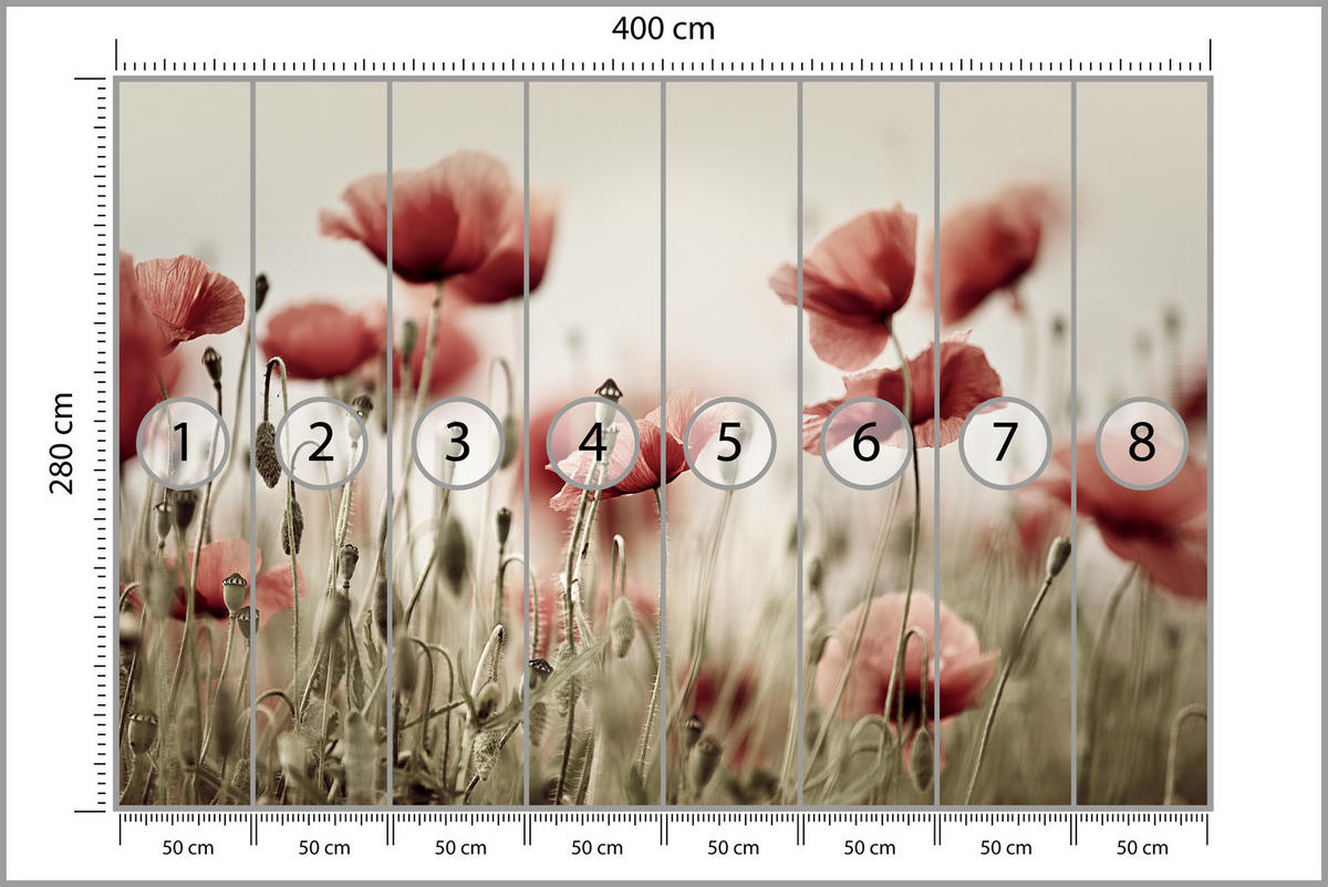 FOTOTAPETE für Wohnzimmer Zarte Mohn Blumen Wiese Rot 400x280 - Beige/Rot, Papier (400/280cm) - Muralo