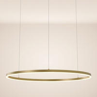 LED-HÄNGELEUCHTE Ring Direkt/Indirekt 5m Gold Ø 100cm - Goldfarben, Metall (100/100/3.3cm) - s.luce