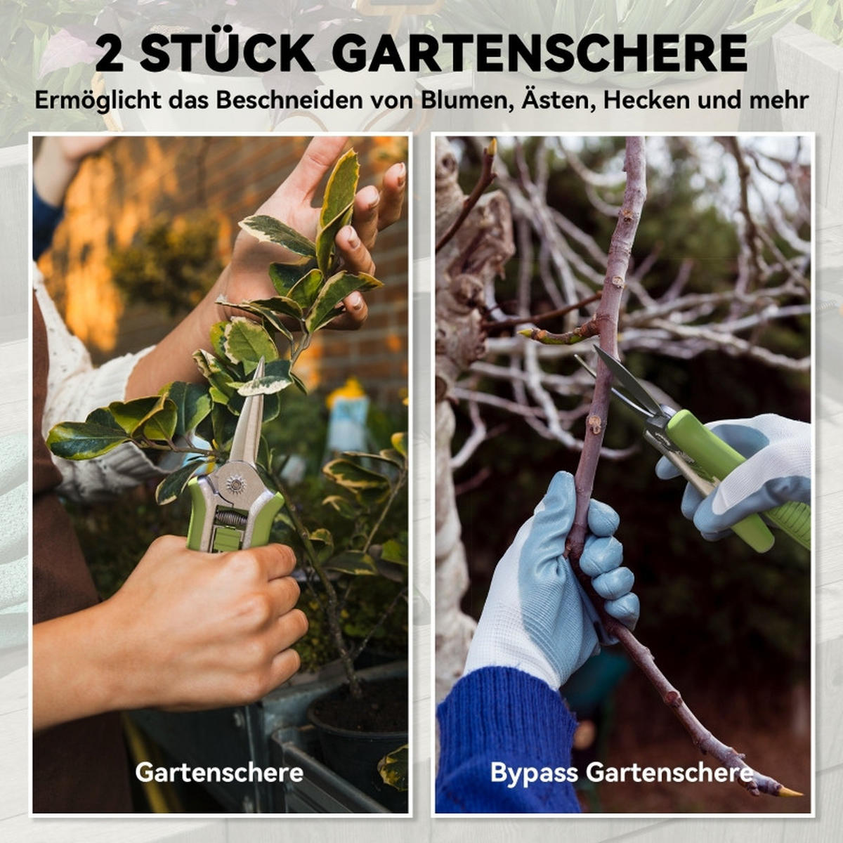 GARTENSCHERE 2 Stück Edelstahl Grün+Silber - Grün, Metall (4.5/1.5/16.5cm) - Kaket