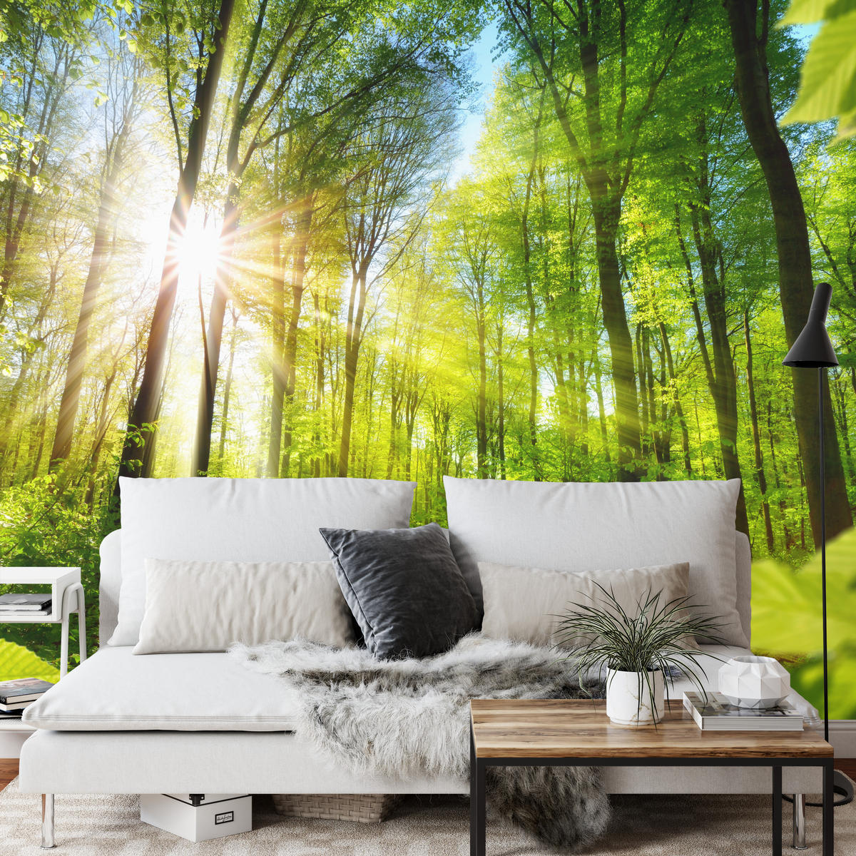 FOTOTAPETE für Wohnzimmer Sonnenaufgang zwischen Bäumen Wald 250x175 - Gelb/Grün, Papier (250/175cm) - Muralo