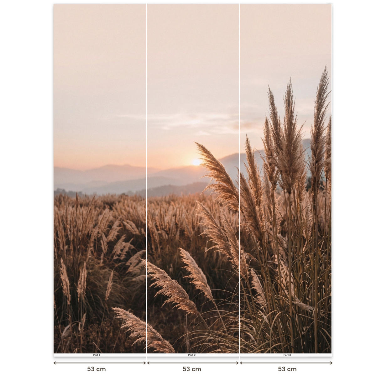 TAPETE - Gras - Feld - Sonne - Natur - 160x200 cm - Sandfarben, Papier (160/200cm) - OnlyWow