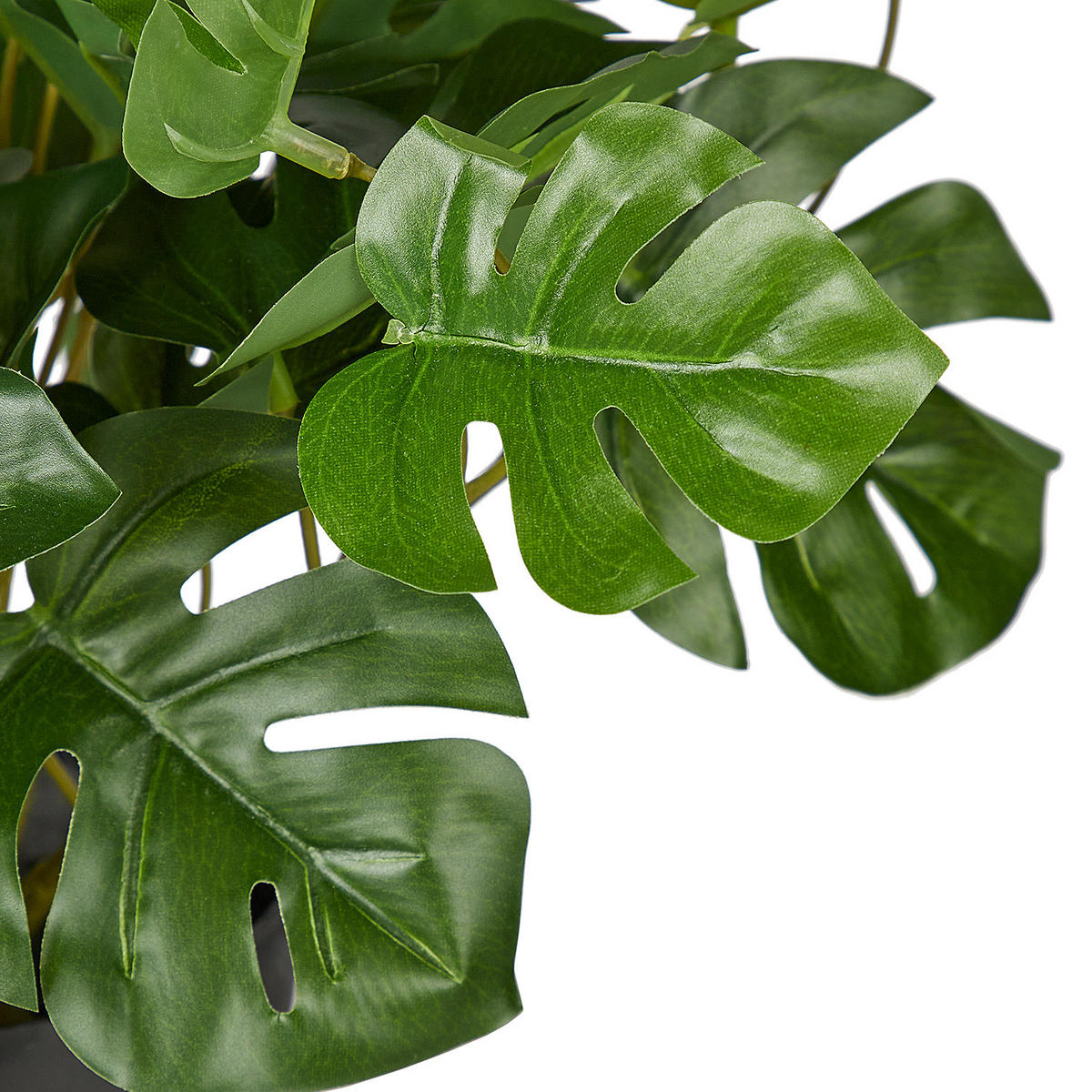 KUNSTBLUME Florista Monstera - Grün, Kunststoff (25cm) - Butlers