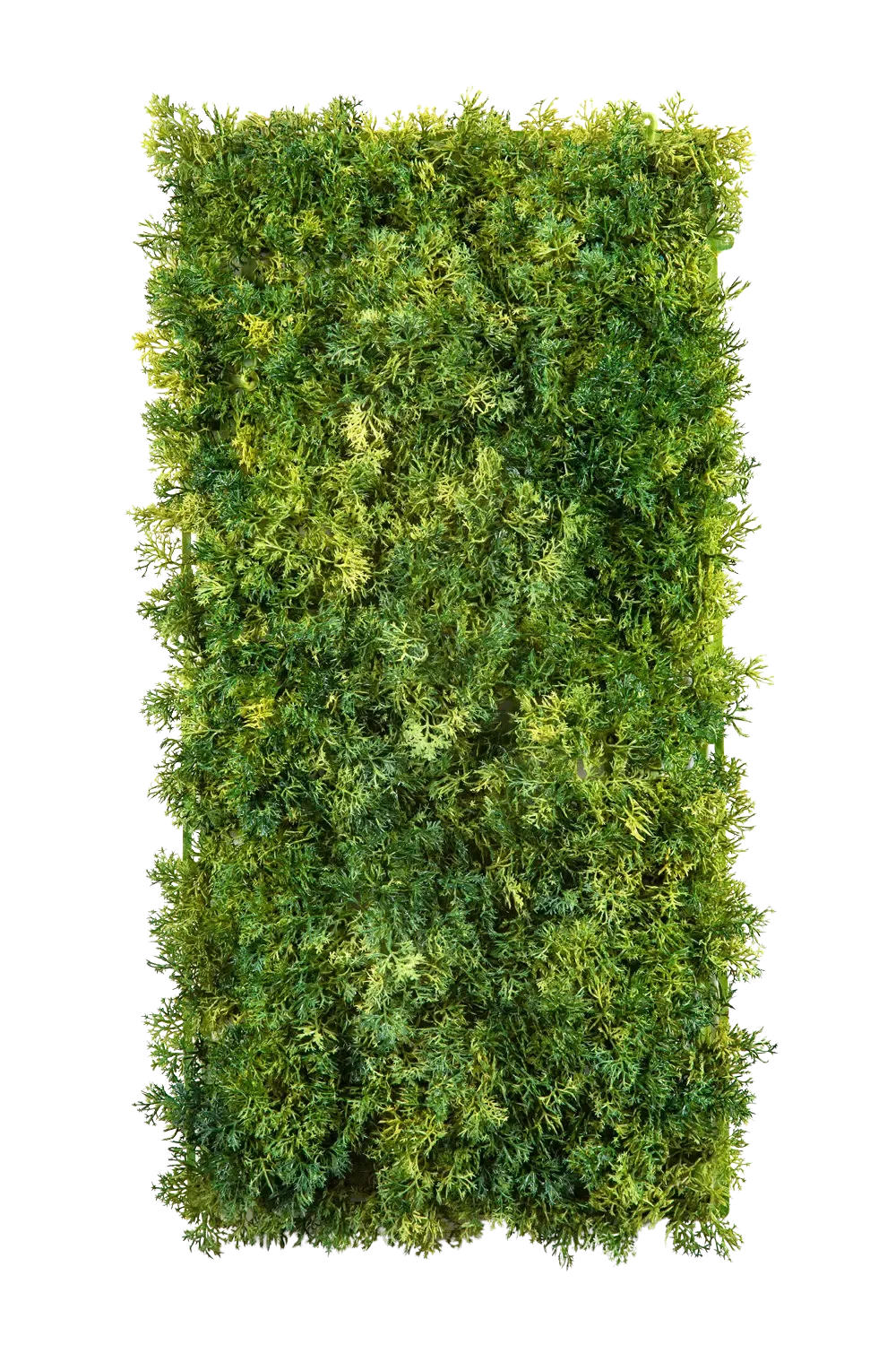 KÜNSTLICHER Moos Teppich - Martin 50x25 cm - Grün, Kunststoff (50cm) - aplanta