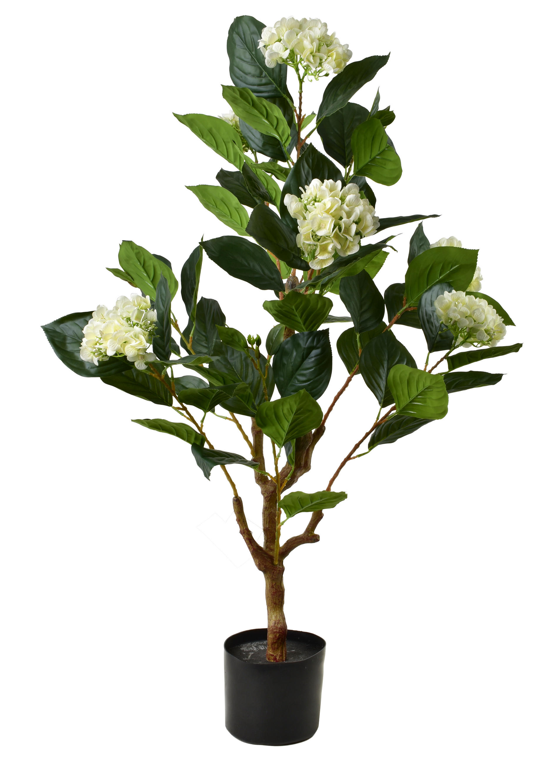 KUNSTBLUME Viridis Grün 19/19/105 cm Kunststoff - Grün, Kunststoff (105cm) - Mondex