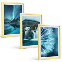 BILDER SET 3er Set - 40x60 cm Goldrahmen - Winterlandschaften mit Wasserfällen - Goldfarben, Kunststoff (40/60cm) - TULUP