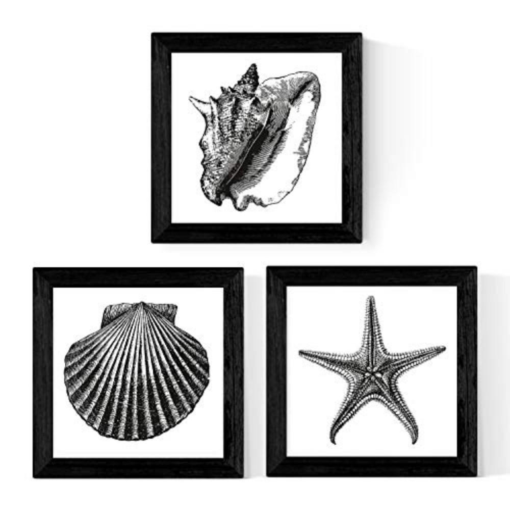 Nacnic Poster Klar 20x5x20 cm