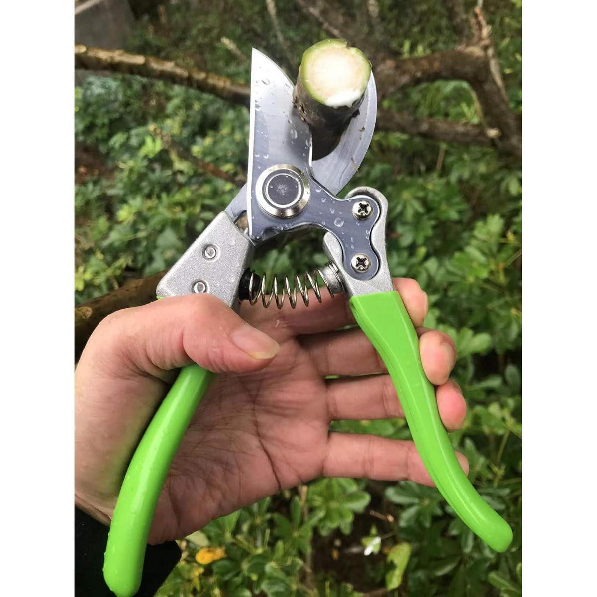 GARTENSCHERE SK4-Stahl Grün - Grün, Metall (6/2.4/21.8cm)