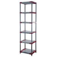 KUNSTSTOFFREGAL GREY BEAR Extra-Tall 220x60x46cm Fachlast 120kg Grau-Rot - Rot, Kunststoff (60/222/46cm) - PROREGAL