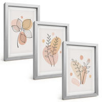 BILDER SET 3er Set - 20x30 cm Silberner Rahmen - Pastellfarbene Pflanzenzeichnungen - Silberfarben, Kunststoff (20/30cm) - TULUP