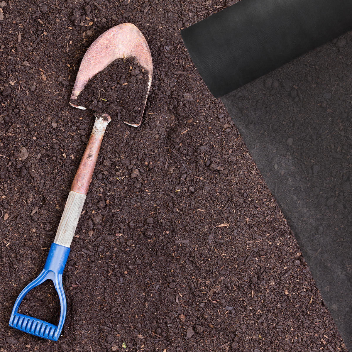 UNKRAUTVLIES - Schwarz, Kunststoff (100/0.1/50cm) - Relaxdays