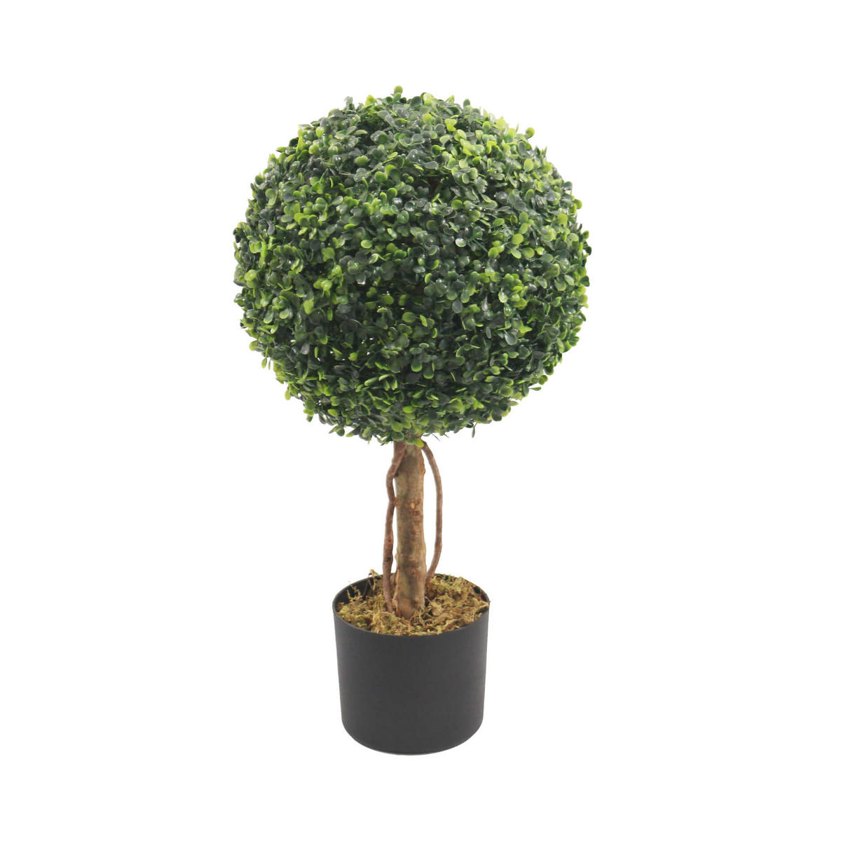 KÜNSTLICHE Buchsbaum 33/33/60 - Grün, Kunststoff (63cm) - Mobili Rebecca