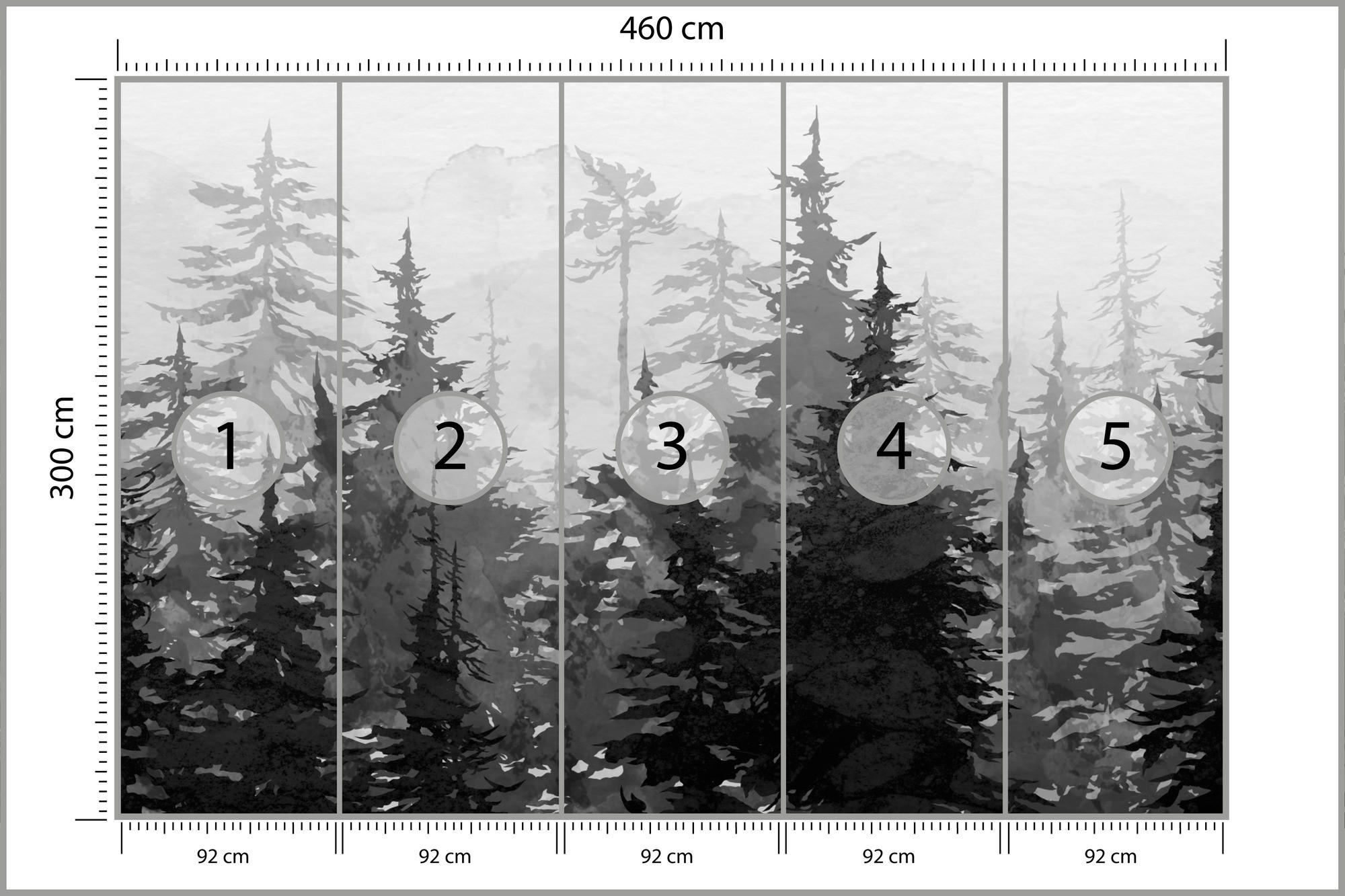 FOTOTAPETE Schwarz-Weiß WALD Bäume Natur 460x300cm - Schwarz/Weiß, Papier (460/300cm) - Muralo