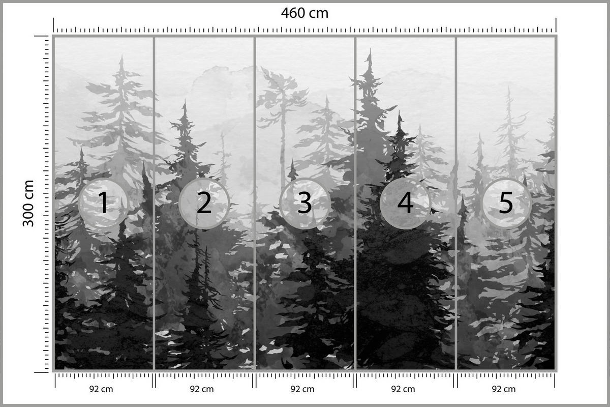 FOTOTAPETE Schwarz-Weiß WALD Bäume Natur 460x300cm - Schwarz/Weiß, Papier (460/300cm) - Muralo