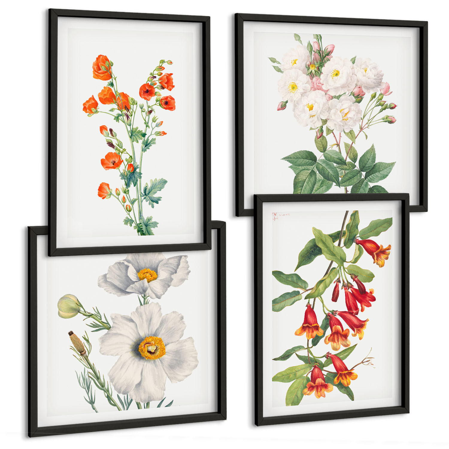 BILDER SET 4er Set - 50x50 cm & 40x60 cm Schwarzer Rahmen - Retro-Blumenmalerei - Schwarz, Kunststoff (50/50cm) - TULUP