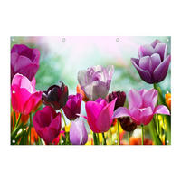 GARTEN-POSTER 120x80 cm Blumen bunt - Rosa, Kunststoff (120/80/2cm) - artissimo