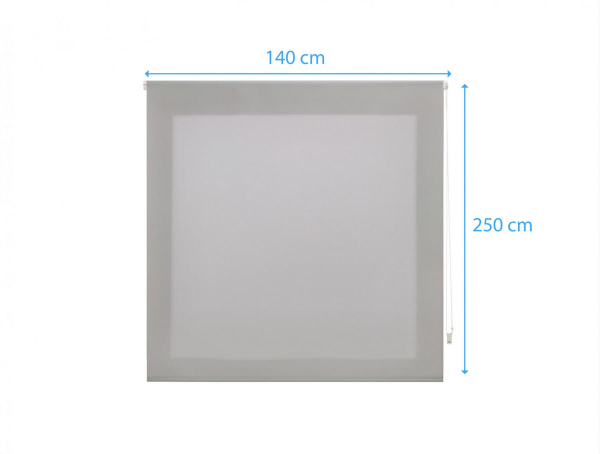 ROLLO Polyester Transluzent Silber 140x250 - Silberfarben, Textil (140/250/1cm) - Purline