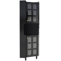 HOCHSCHRANK 63,5/157,5 cm aus MDF mit App-gesteuerter LED-Beleuchtung Schwarz - Schwarz, Holzwerkstoff (63.5/157.5/17cm) - Modenvie