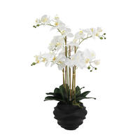 KÜNSTLICHE Orchidee - Chi 67 cm - Weiß, Kunststoff (66cm) - aplanta