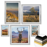 WANDBILDER 5er Set - 50x50 cm & 20x30 cm & 40x60 cm Silberner Rahmen - Berglandschaften, Hirschgras - Silberfarben, Kunststoff (40/60cm) - ArtPrintCave