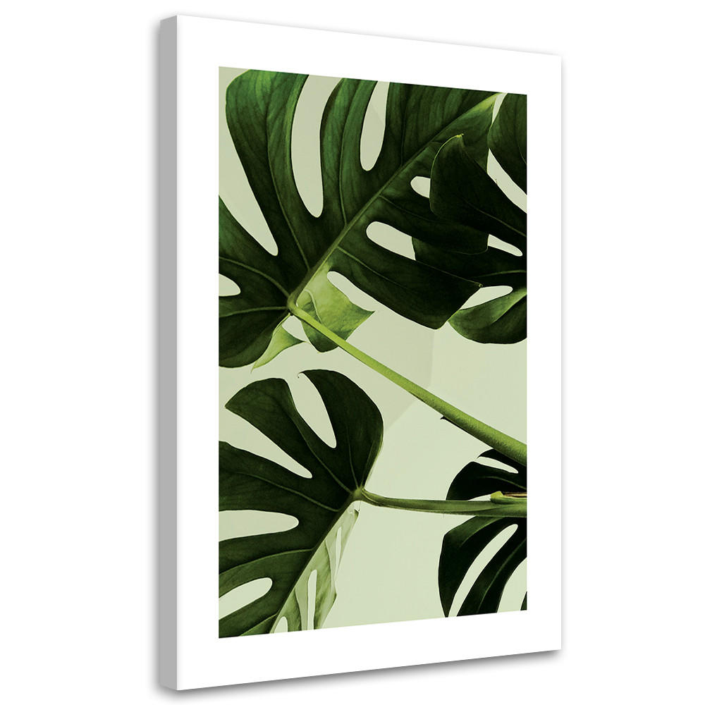 WANDBILD grüne monstera blätter - Grün, Textil (40/60cm) - Feeby