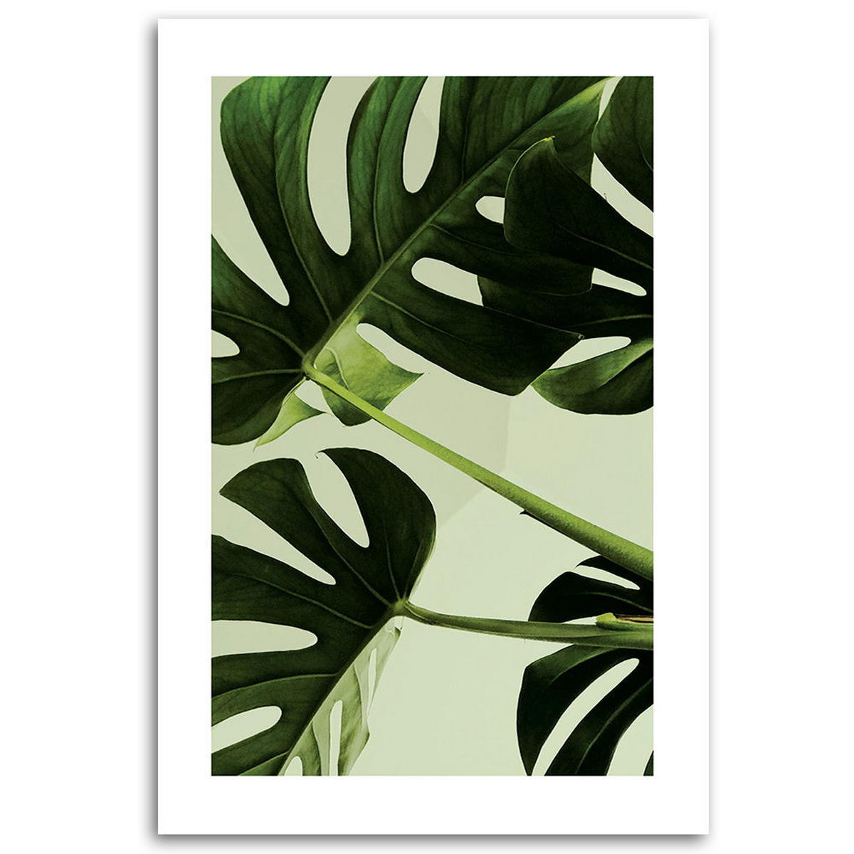 KUNSTDRUCK Grün 40/60 cm - Grün, Textil (40/60cm) - KUNSTLOFT