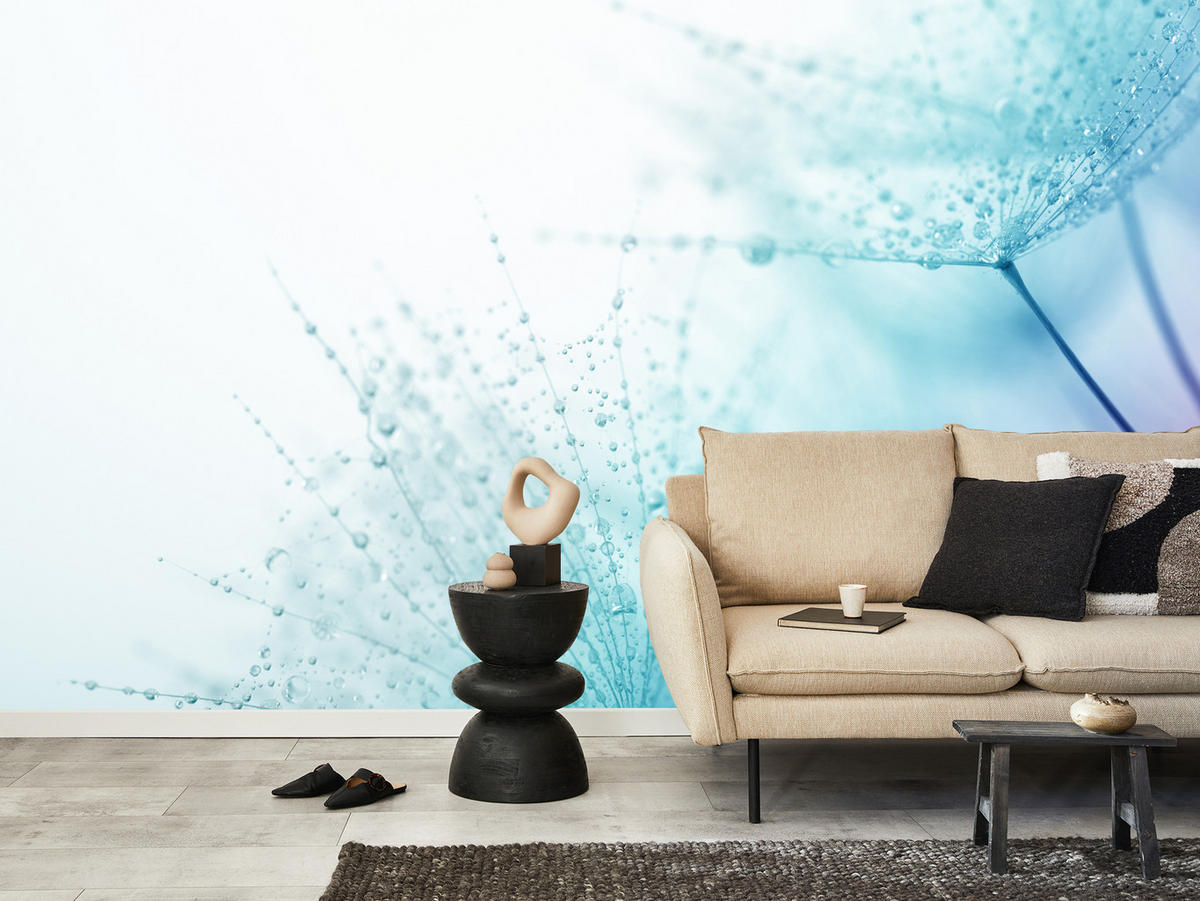 FOTOTAPETE für Badezimmer Leuchtende Löwenzahnblüten Wassertropfen Blau 150x105 - Türkis/Blau, Papier (150/105cm) - Muralo