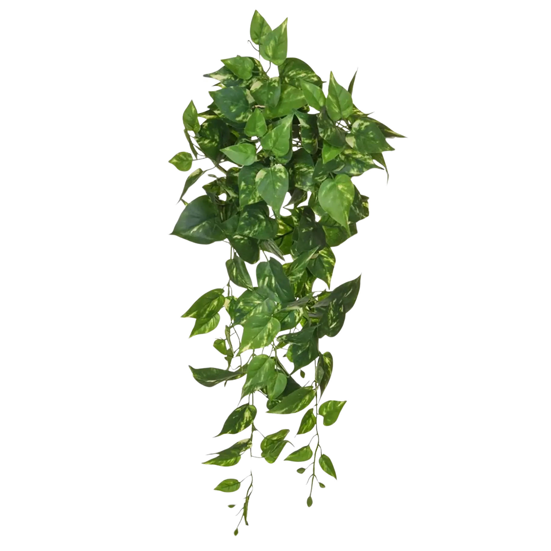 KUNSTPFLANZE Künstlicher Pothos - Walter 80 cm - Grün, Kunststoff (80cm) - aplanta