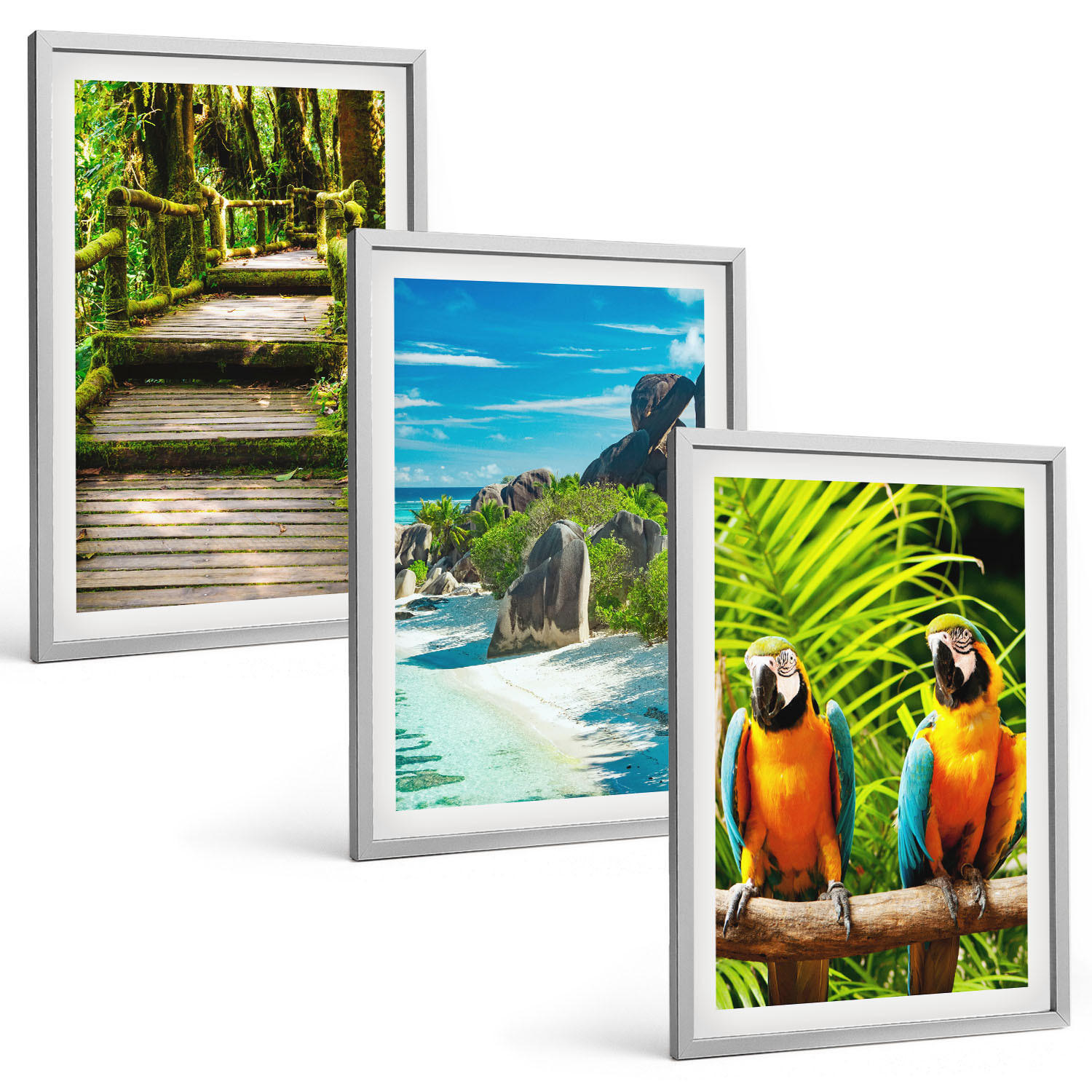 Tulup Bilder Silber 40x60 cm