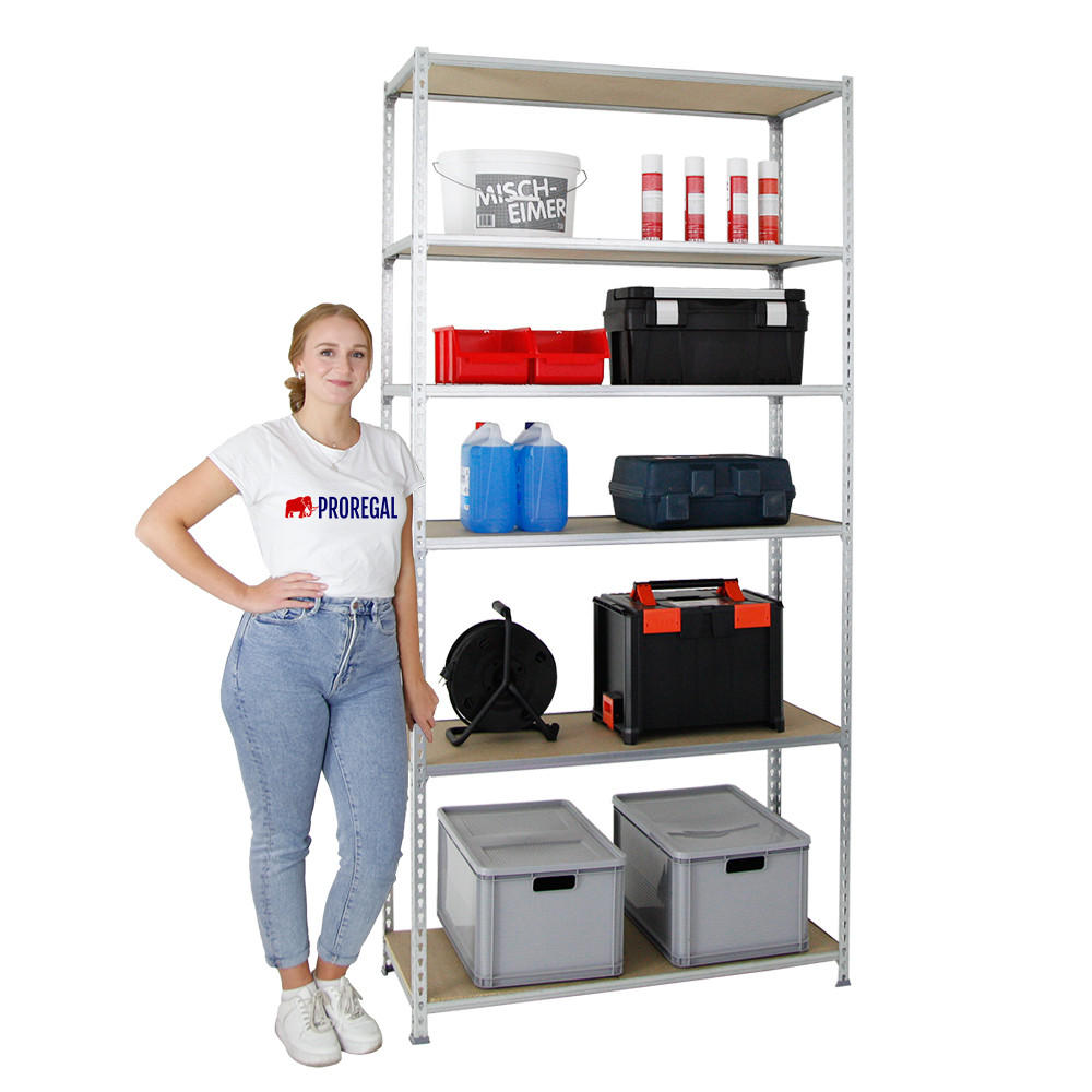 SCHWERLASTREGAL Giant Muli HxBxT 250 x 100 x 50 cm 6 Fachböden Fachlast 150 kg Verzinkt - Silberfarben, Metall (100/250/50cm) - PROREGAL