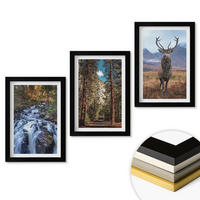 WANDBILDER 3er-Set - 20x30 cm Schwarzer Rahmen - Wasserfall Wald Berge Hirsch Natur - Schwarz, Kunststoff (20/30cm) - ArtPrintCave