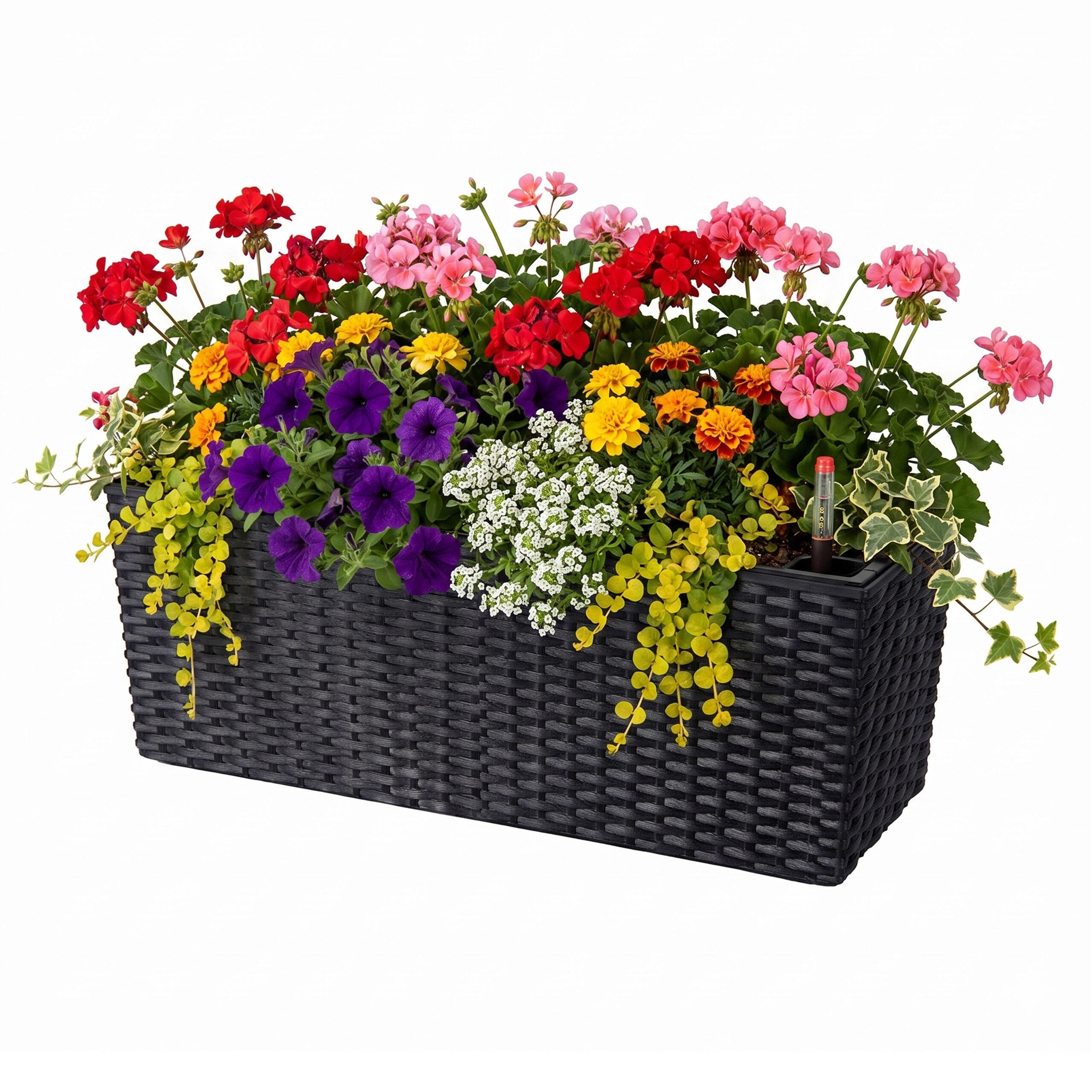 JARDINIERĂ Neagră autoirigare 50 cm - negru, material plastic/metal (50/19/19cm) - Relaxdays