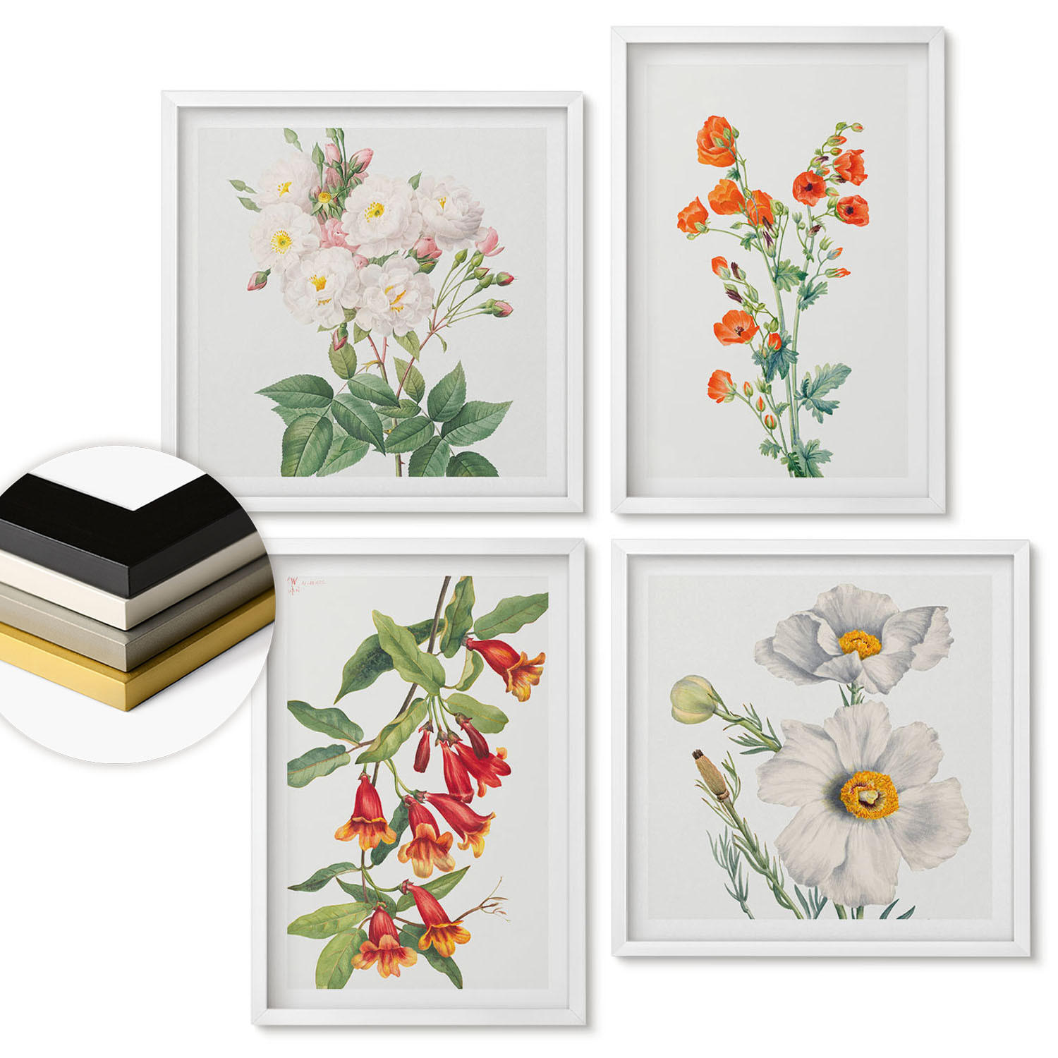 WANDBILDER 4er-Set - 50x50 cm & 40x60 cm Weißer Rahmen - Retro-Blumenmalerei - Weiß, Kunststoff (50/50cm) - ArtPrintCave