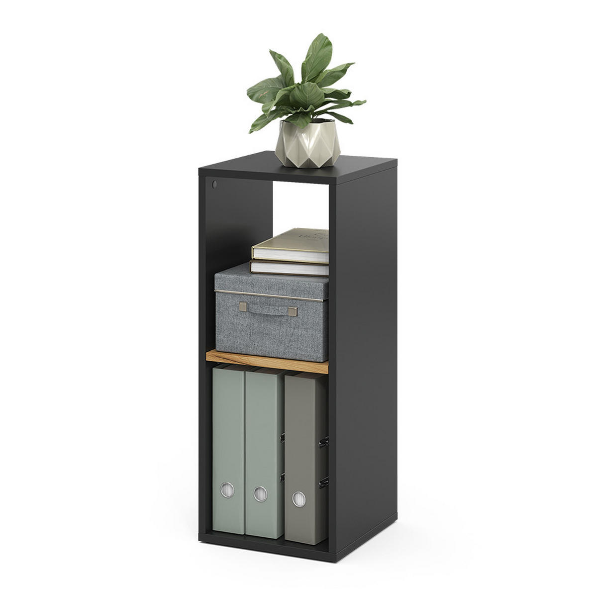 BÜCHERREGAL Tomy Anthrazit/Goldkraft Eiche 30 x 74 cm mit 2 offenen Fächern - Honigeiche/Anthrazit, Holzwerkstoff (30/74/30cm) - Vicco
