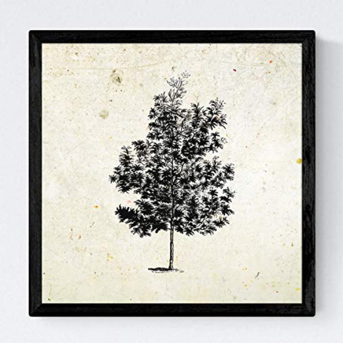 POSTER Set mit 4 Blättern der Laubbäume Jahrgang Hintergrund 30x30 cm Rahmenlos - Klar, Papier (30/3cm) - Nacnic