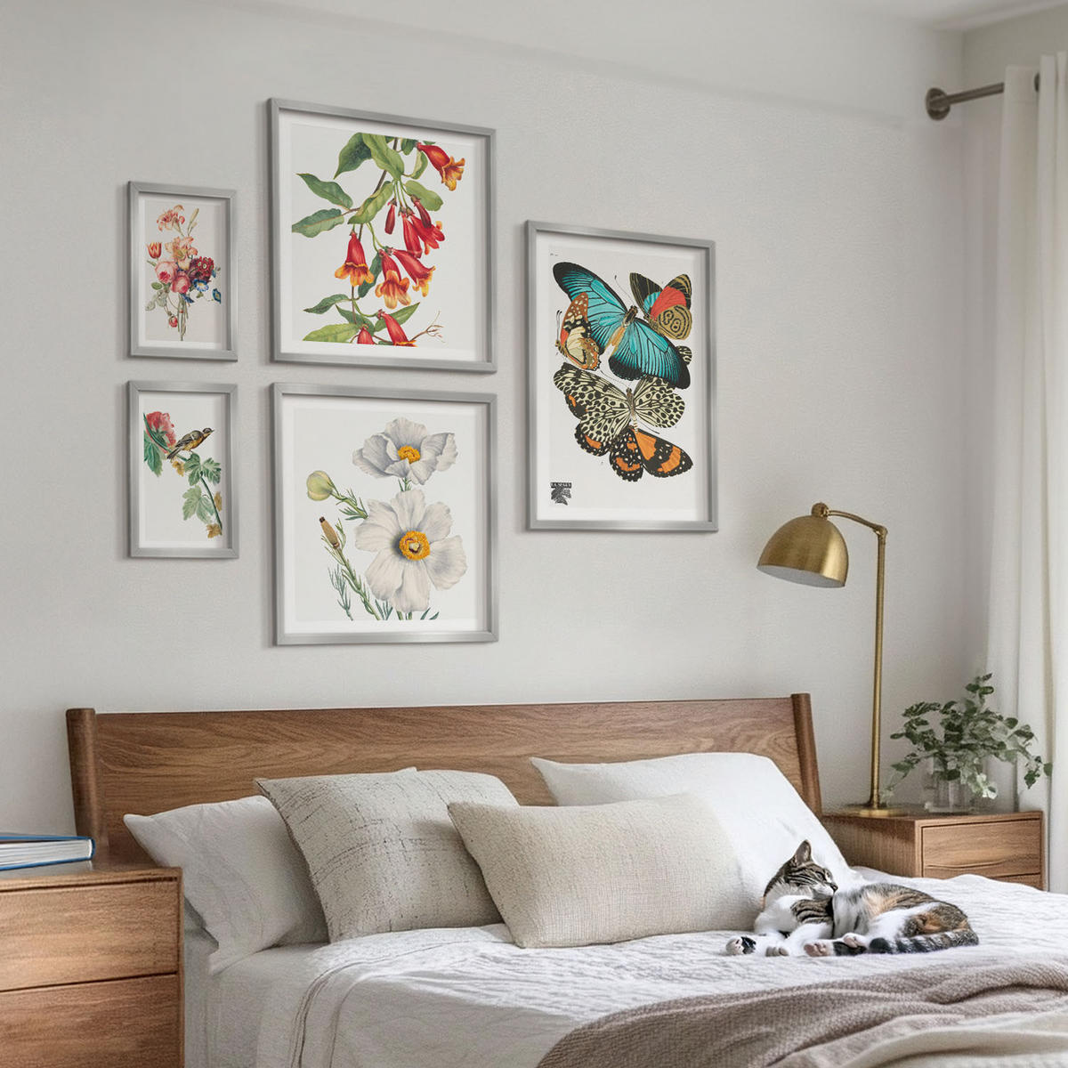 BILDER SET 5er Set - 50x50 cm & 20x30 cm & 40x60 cm Silberner Rahmen - Blumen, Schmetterlinge, Vögel, Pastellfarben - Silberfarben, Kunststoff (40/60cm) - TULUP