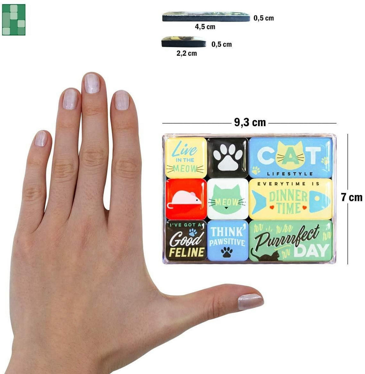 MAGNETSET 9-teilig Animal Club Cat Lifestyle - Multicolor, Metall (9/7/2cm) - Nostalgic-Art