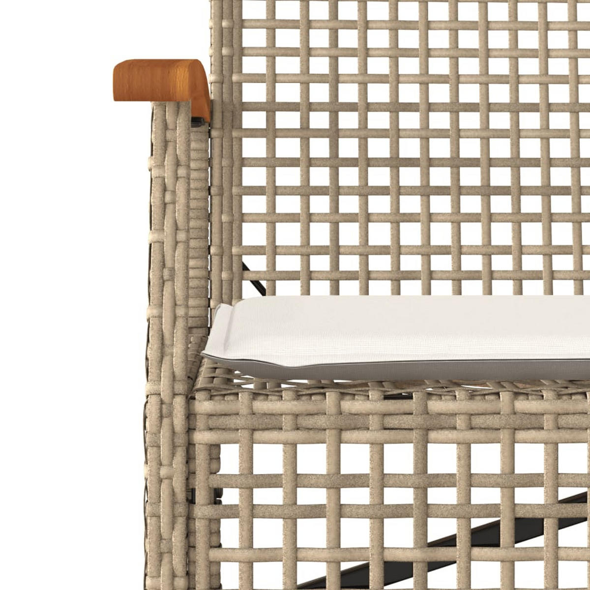 GARTENBANK Mit Kissen Beige Poly Rattan Akazienholz - Beige, Kunststoff (57/85/108cm) - vidaXL