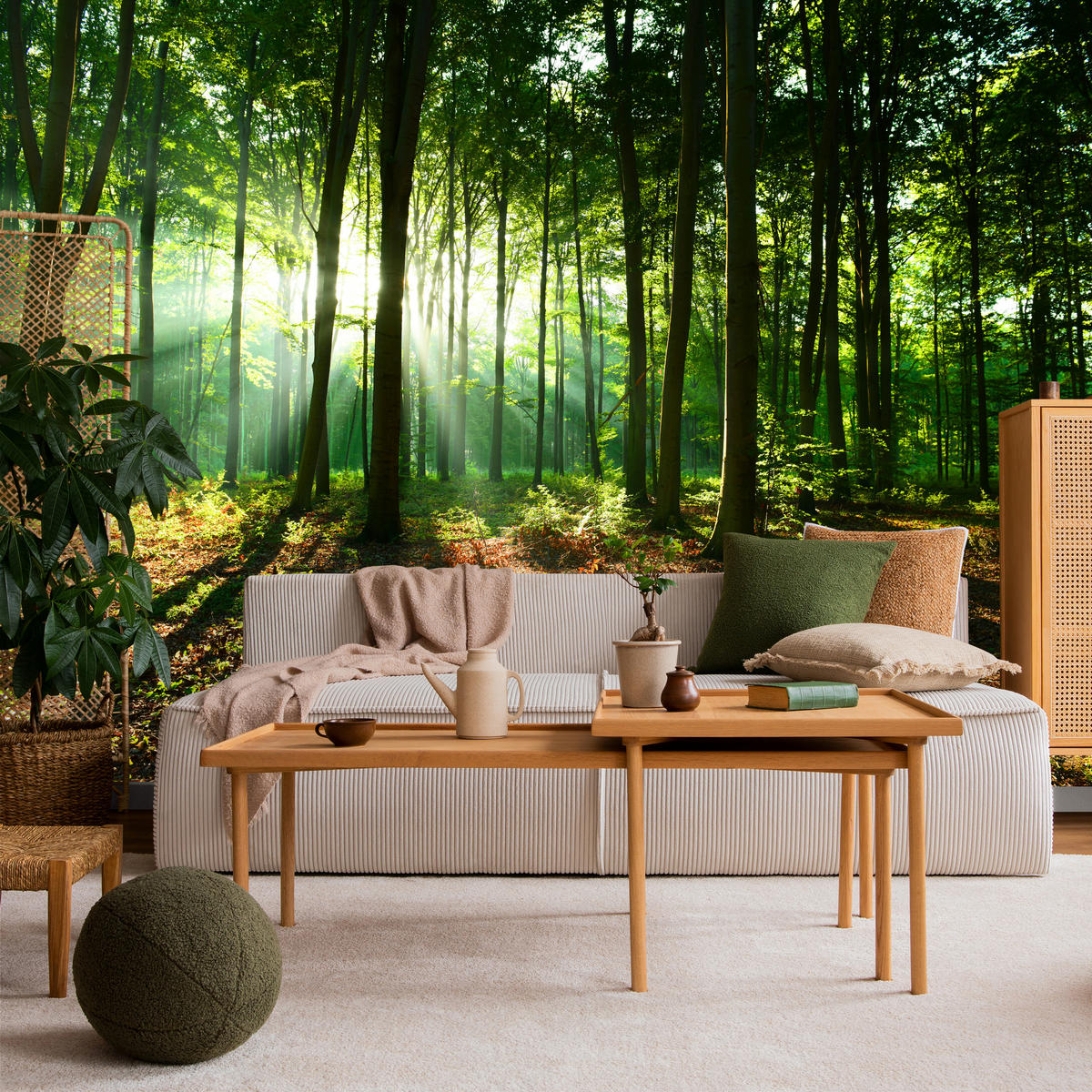 FOTOTAPETE für Wohnzimmer Sonnenstrahlen Wald Bäume Blätter 250x175 - Beige/Braun, Papier (250/175cm) - Muralo