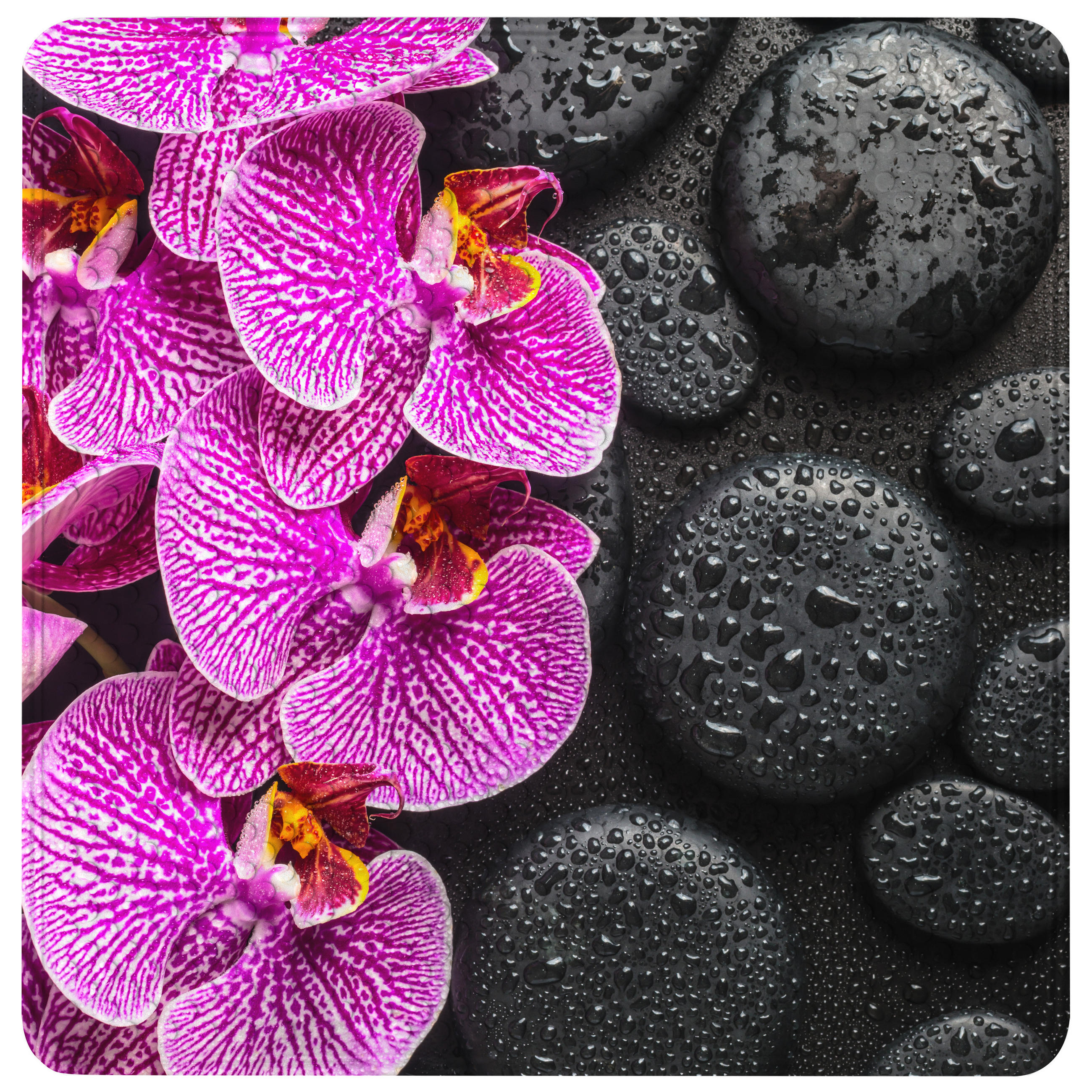 BADEMATTE Madeira - Schwarz, Kunststoff (53/53cm) - Sanilo