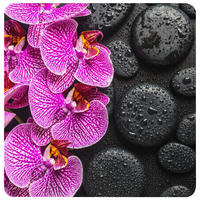 BADEMATTE Madeira - Schwarz, Kunststoff (53/53cm) - Sanilo