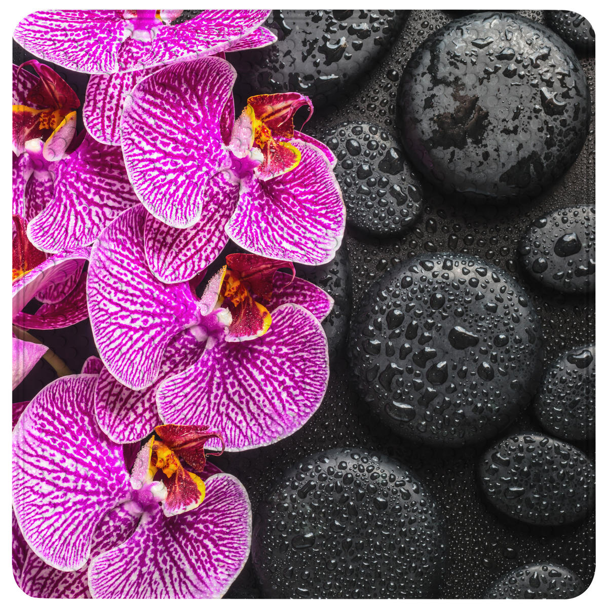 BADEMATTE Madeira - Schwarz, Kunststoff (53/53cm) - Sanilo