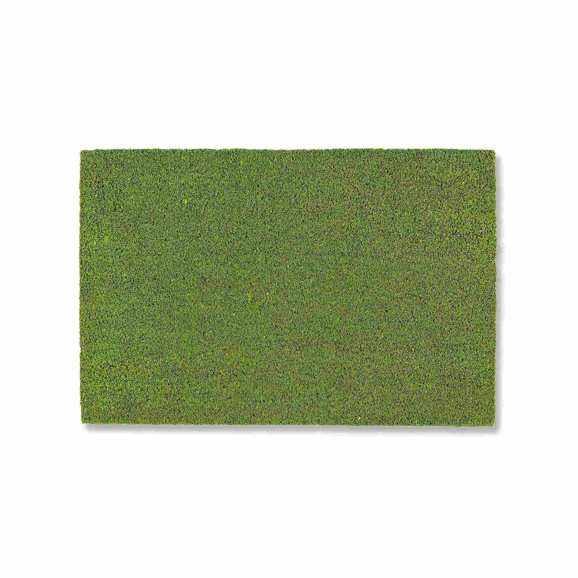 FUSSMATTE IN- UND OUTDOOR COCO COLOR T - Grün, Textil (40/60cm) - Astra