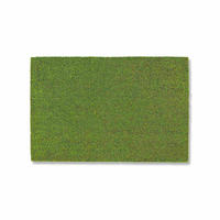 FUSSMATTE IN- UND OUTDOOR COCO COLOR T - Grün, Textil (40/60cm) - Astra
