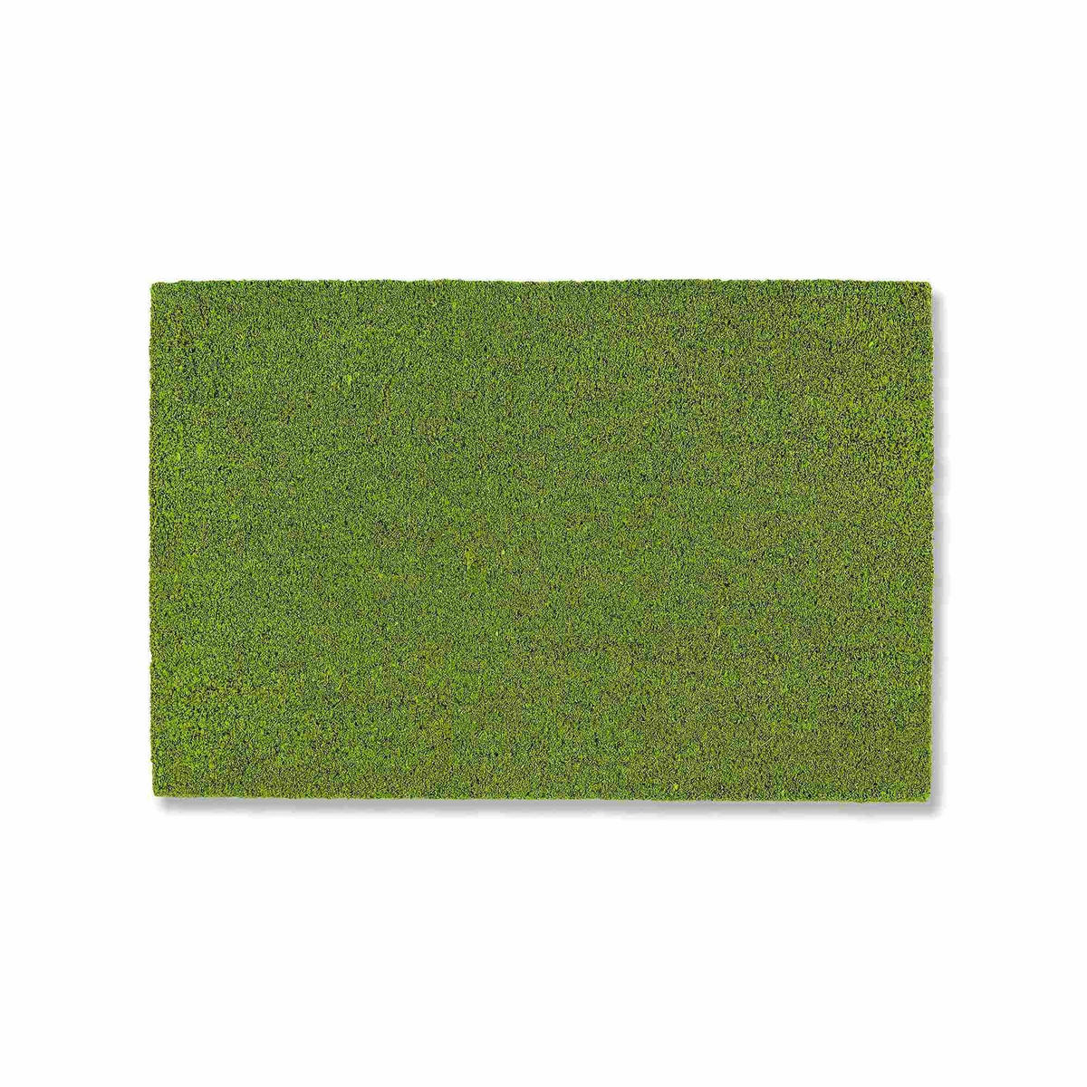 FUSSMATTE IN- UND OUTDOOR COCO COLOR T - Grün, Textil (40/60cm) - Astra