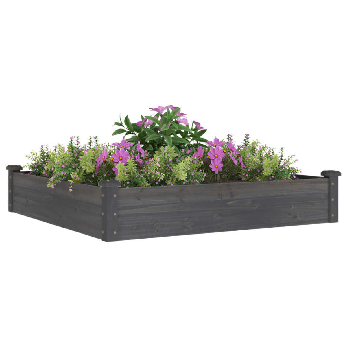 HOCHBEET mit Einsatz Grau 120x120x25 cm Massivholz Tanne - Grau, Holz (120/25/120cm) - furnicato