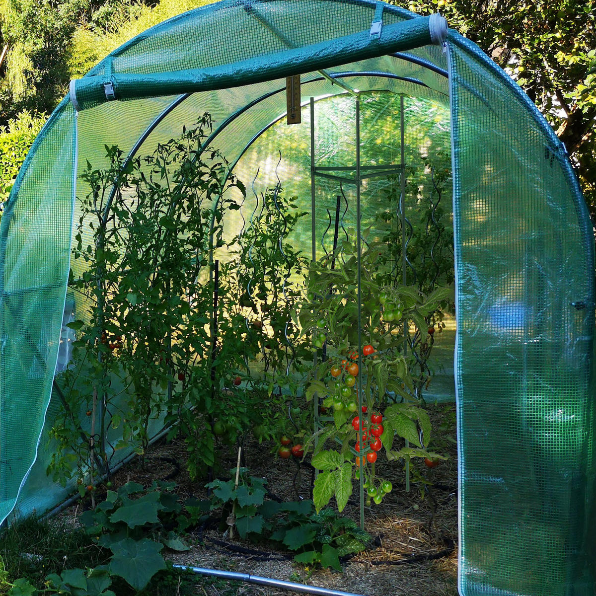 4XRANKHILFE - Dunkelgrün, Kunststoff/Metall (32/150/32cm) - Relaxdays