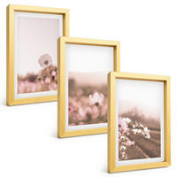 BILDER SET 3er Set - 20x30 cm Goldrahmen - Sommerlandschaften mit Wildblumenwiesen - Goldfarben, Kunststoff (20/30cm) - TULUP