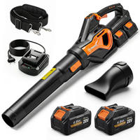 LAUBSAUGER DE-10274 20V kabellos mit Turbo-Boost Schwarz - Schwarz, Kunststoff (22/16/102cm) - ComfortXL