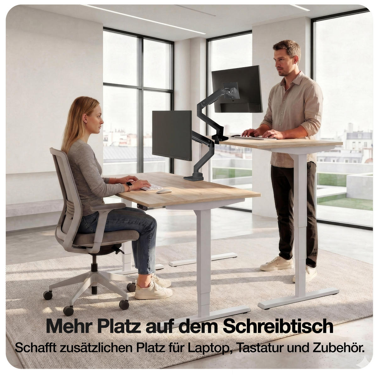 MONITORARM in schwarz mit Gasfeder für 17–49 Zoll Monitore bis 20kg / Schwarz - Schwarz, Metall (22/43/13cm) - ASSMANN