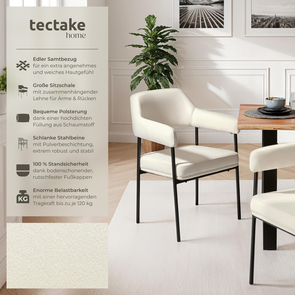 ARMLEHNSTUHL 6er Set Doé 58 x 62 x 85 cm Samtoptik off-white - Weiß/Samtahornfarben, Textil (58/85/62cm) - tectake